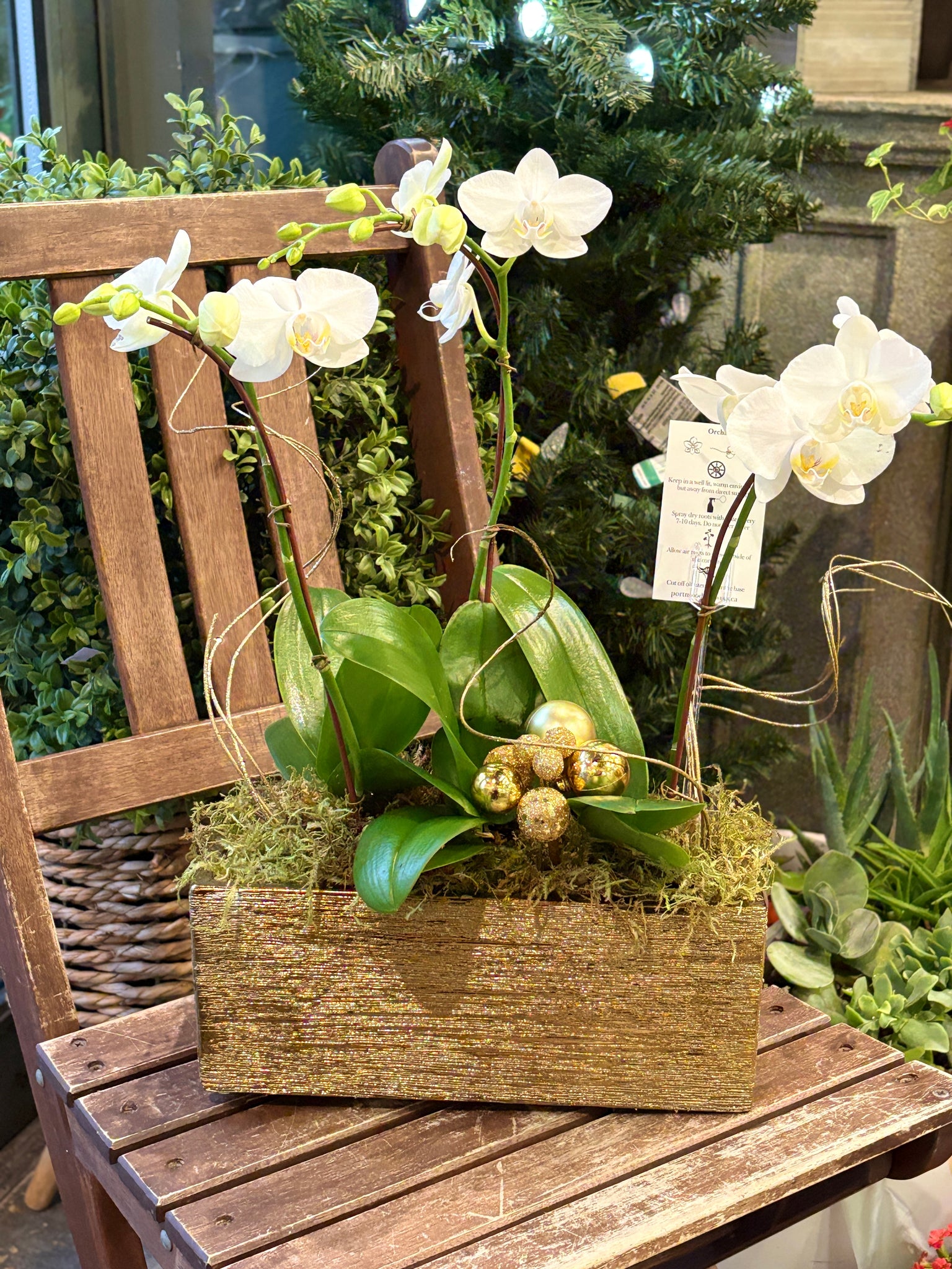 Golden Ceramic Orchid Planter