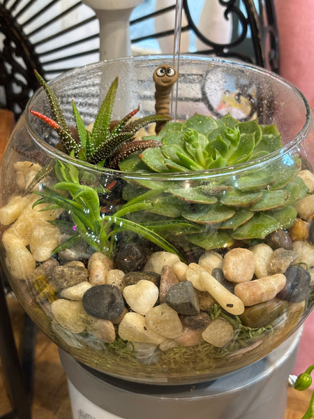 Glass Terrarium