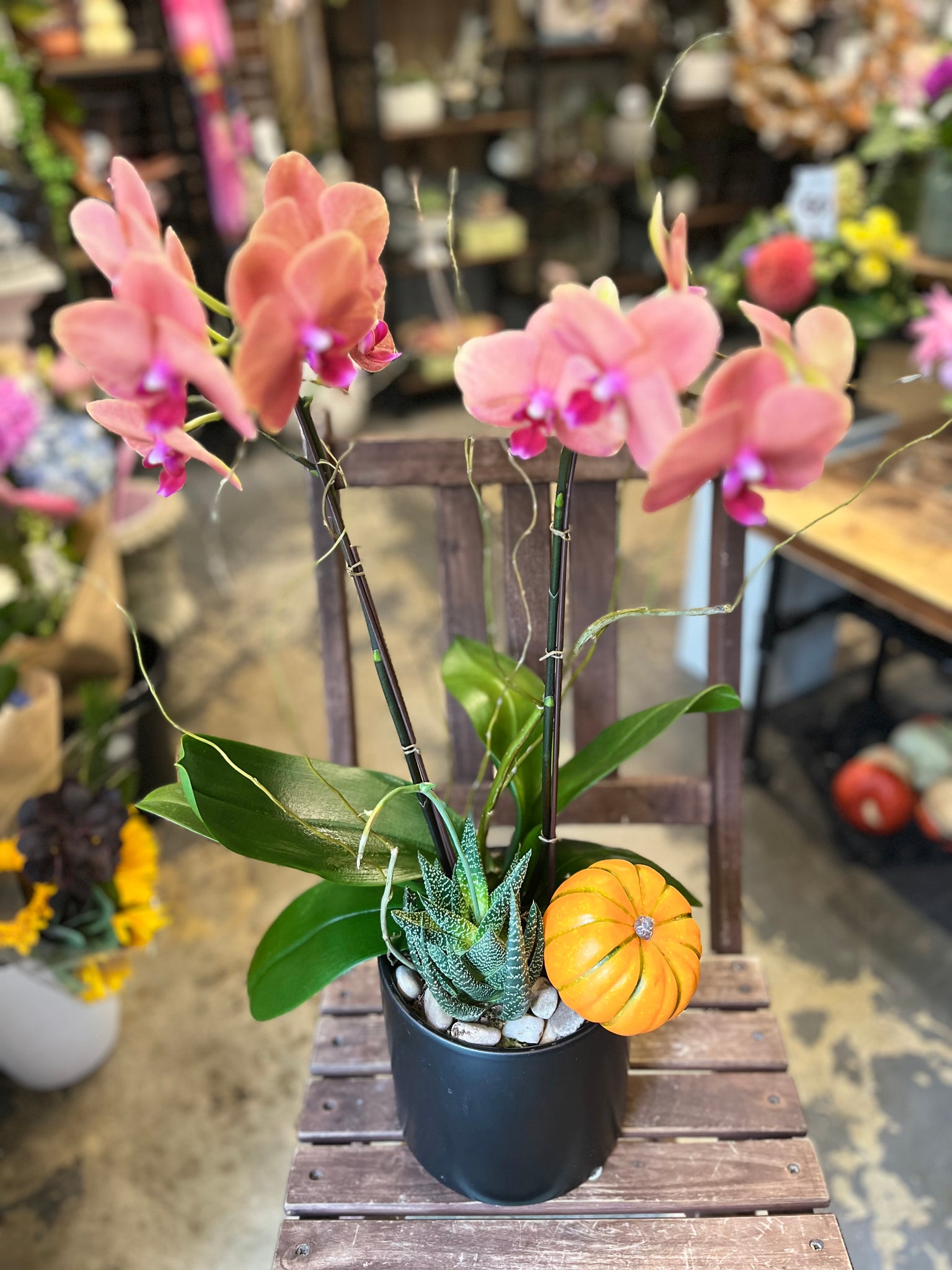 Seasonal Orchid Planter