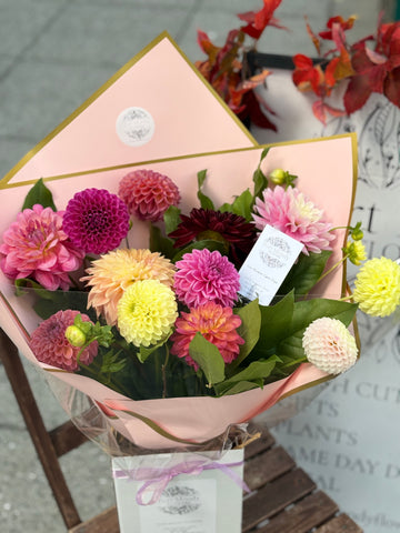 “Darling Dahlias” - seasonal colours