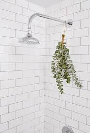 Eucalyptus Shower Bundle