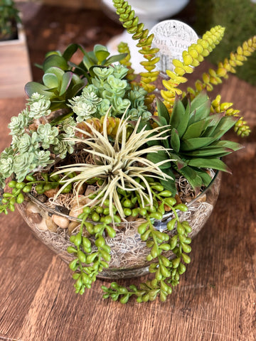 Faux Succulent Glass Planter