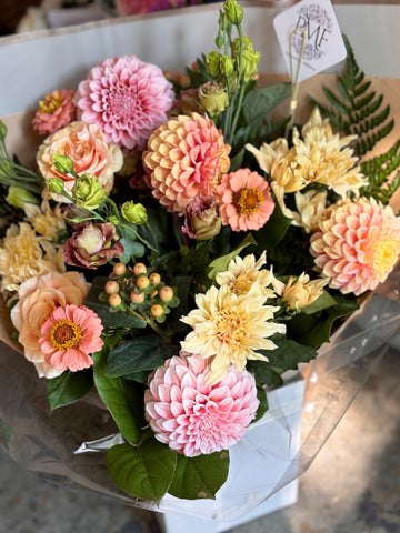 Darling Dahlias